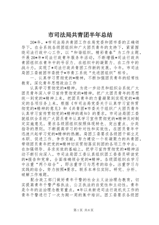 2024年市司法局共青团半年总结