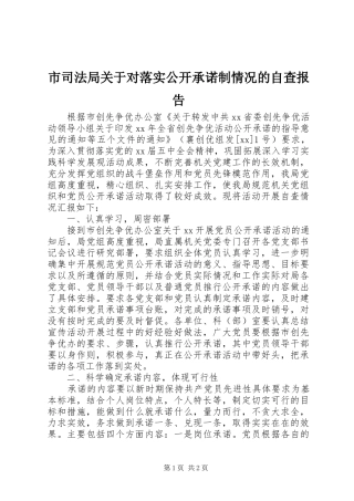 2024年市司法局关于对落实公开承诺制情况的自查报告