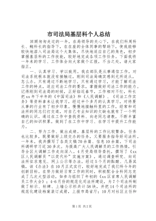 2024年市司法局基层科个人总结
