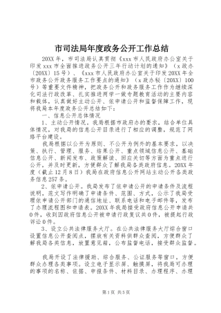 2024年市司法局年度政务公开工作总结