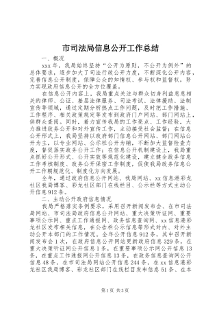 2024年市司法局信息公开工作总结