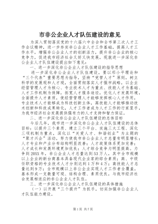 2024年市非公企业人才队伍建设的意见