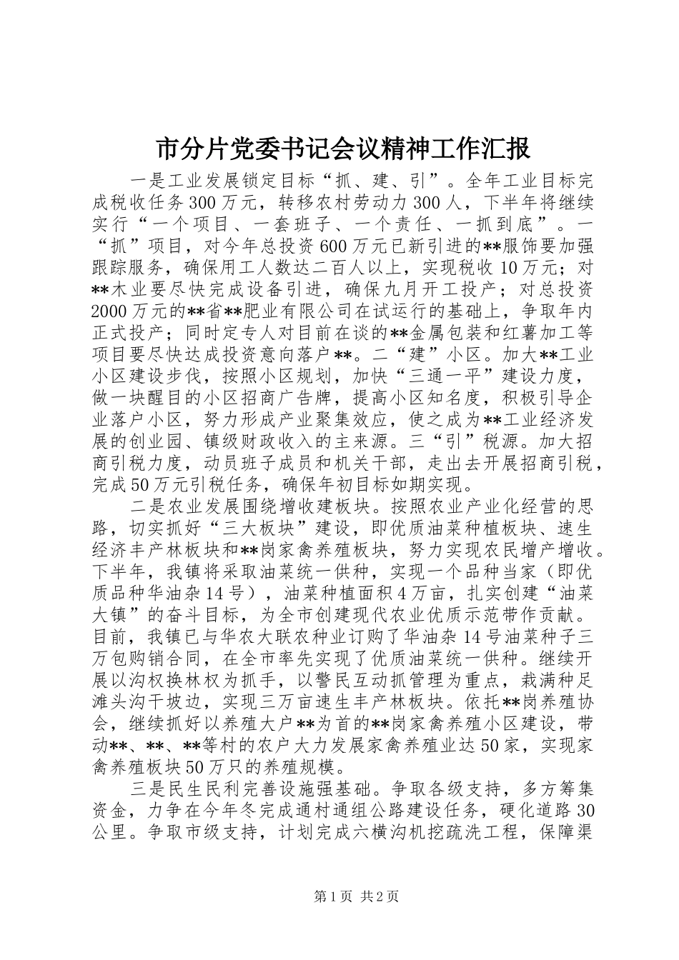 2024年市分片党委书记会议精神工作汇报_第1页