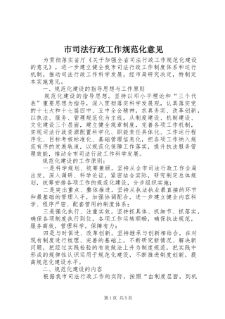 2024年市司法行政工作规范化意见