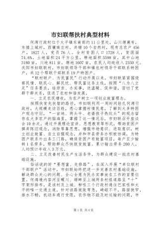 2024年市妇联帮扶村典型材料