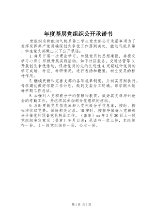 2024年年度基层党组织公开承诺书