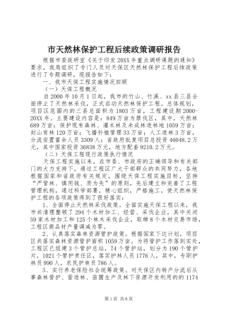 2024年市天然林保护工程后续政策调研报告