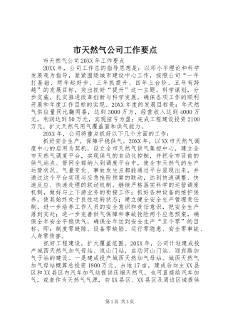 2024年市天然气公司工作要点