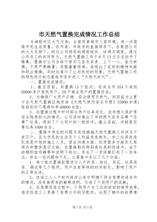 2024年市天然气置换完成情况工作总结