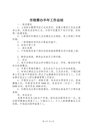 2024年市统筹办半年工作总结