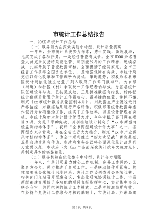 2024年市统计工作总结报告