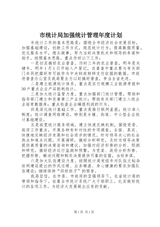 2024年市统计局加强统计管理年度计划