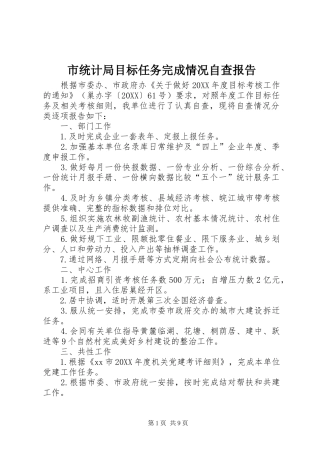 2024年市统计局目标任务完成情况自查报告