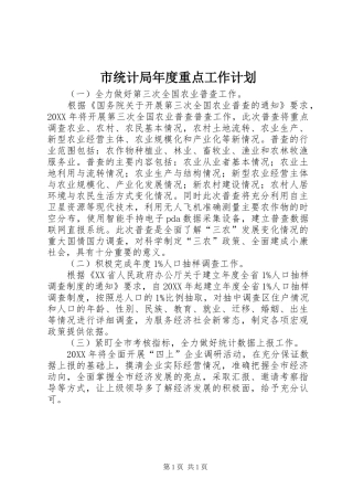 2024年市统计局年度重点工作计划