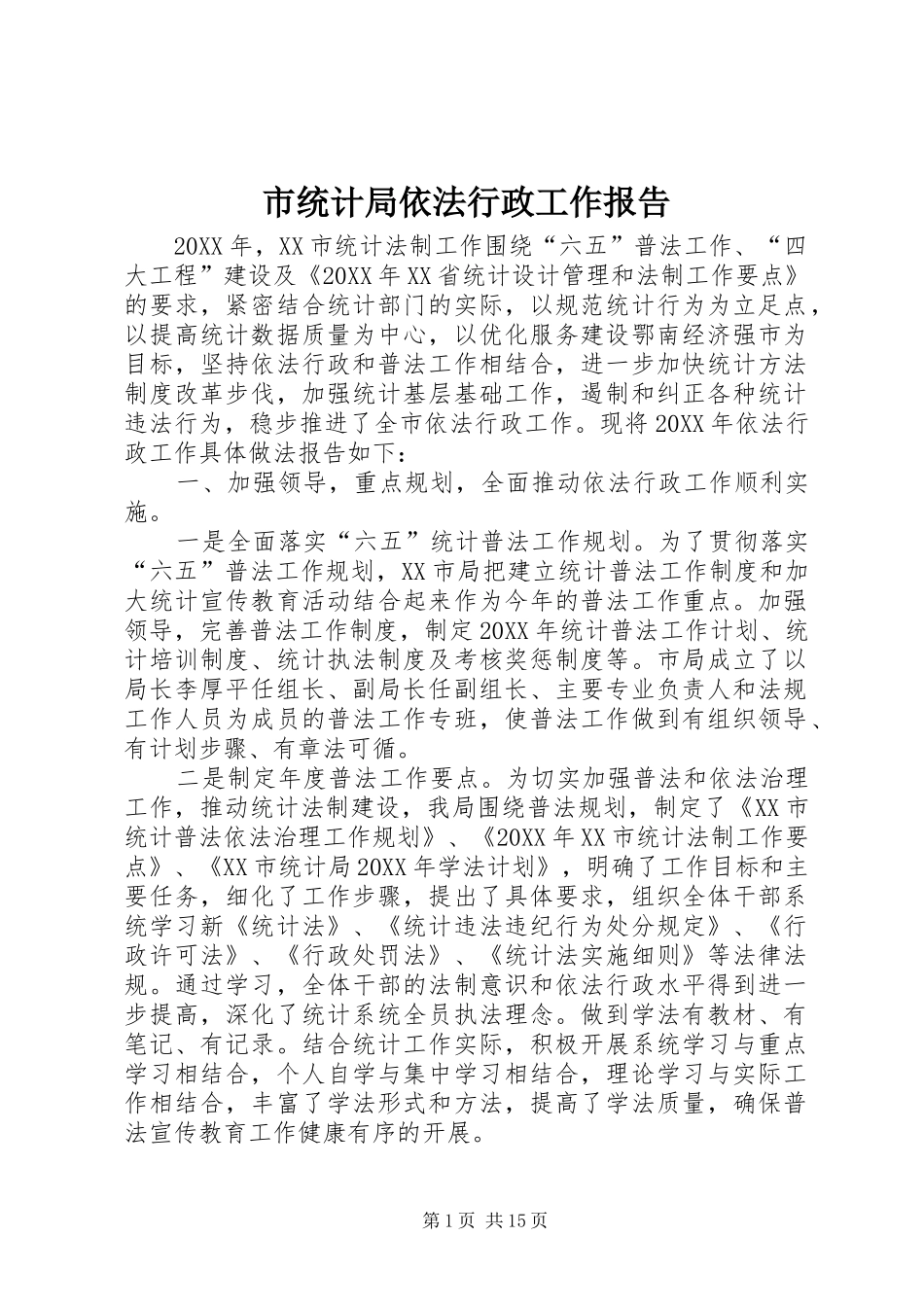 2024年市统计局依法行政工作报告_第1页