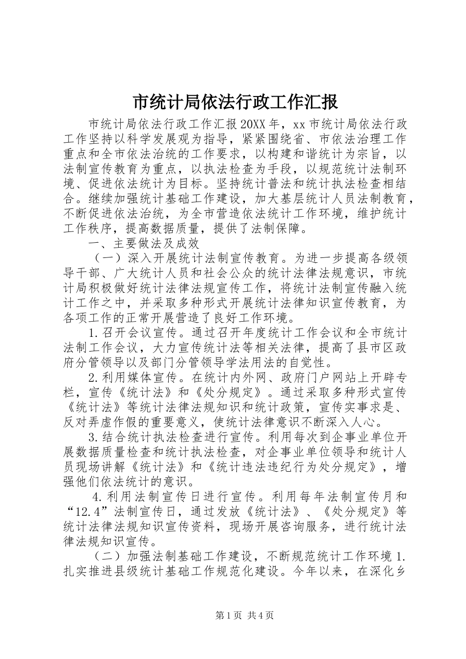 2024年市统计局依法行政工作汇报_第1页
