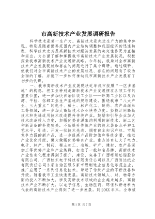 2024年市高新技术产业发展调研报告