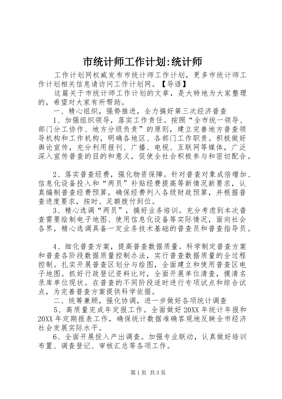 2024年市统计师工作计划统计师_第1页
