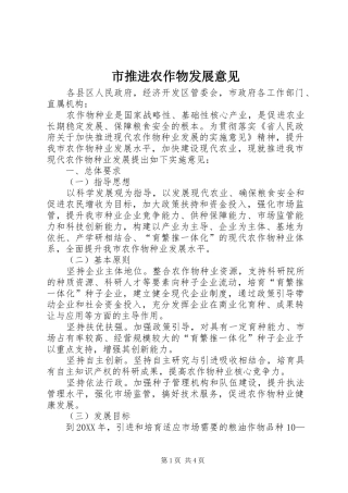 2024年市推进农作物发展意见