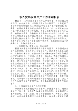 2024年市外贸局安全生产工作总结报告