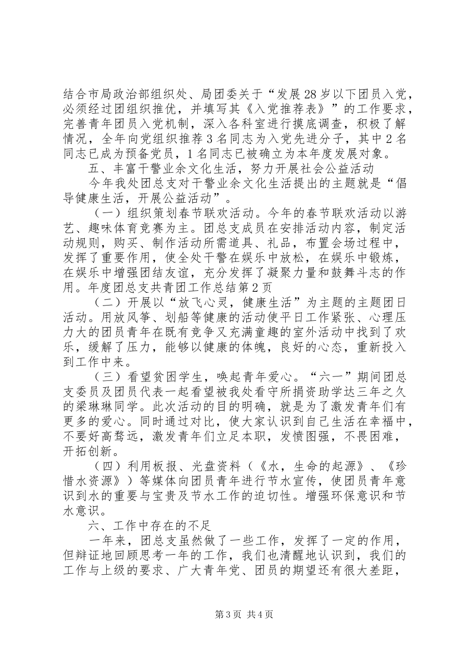 2024年年度团总支共青团工作总结_第3页