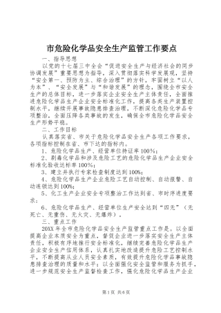 2024年市危险化学品安全生产监管工作要点