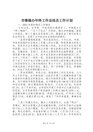 2024年市维稳办年终工作总结及工作计划