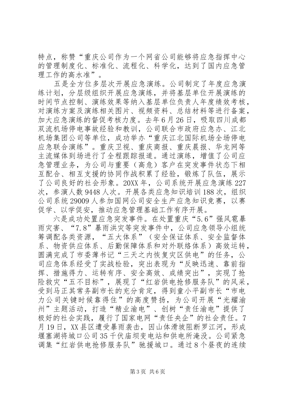 2024年市工信系统安全生产工作电力公司经验交流材料_第3页