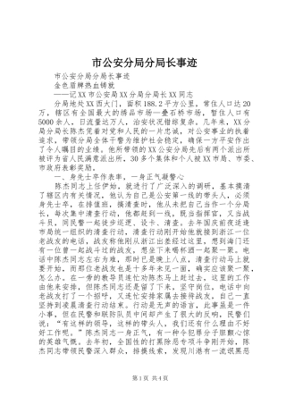 2024年市公安分局分局长事迹