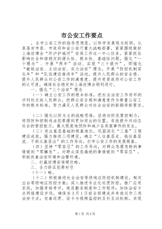 2024年市公安工作要点