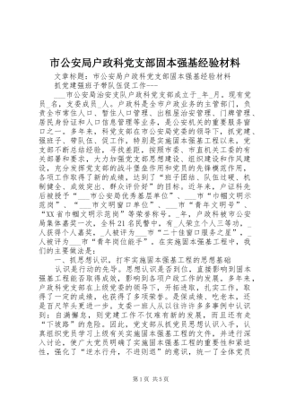2024年市公安局户政科党支部固本强基经验材料