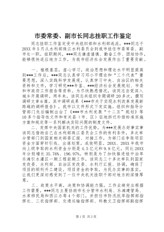 2024年市委常委副市长同志挂职工作鉴定