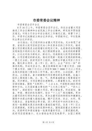 2024年市委常委会议精神