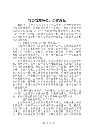 2024年市公安政务公开工作意见