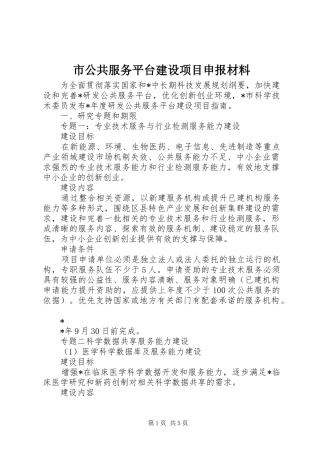 2024年市公共服务平台建设项目申报材料