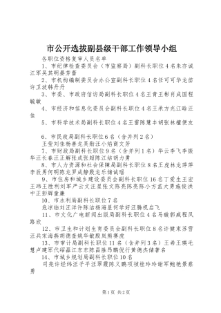 2024年市公开选拔副县级干部工作领导小组