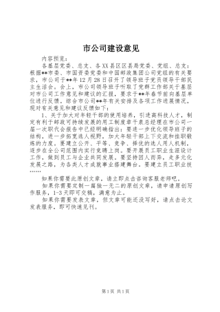 2024年市公司建设意见