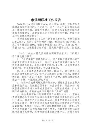 2024年市供销联社工作报告