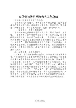 2024年市供销社防洪抢险救灾工作总结