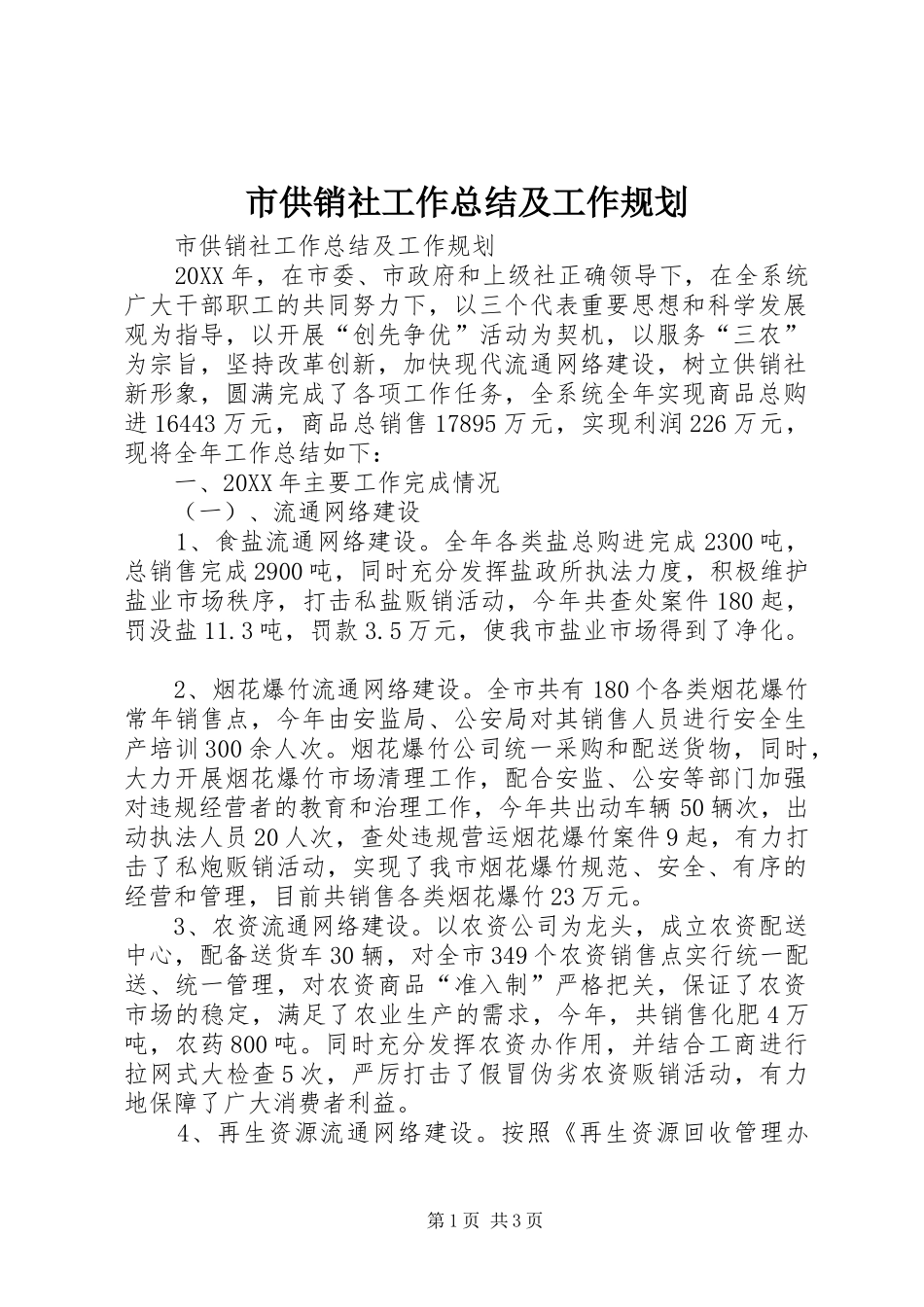 2024年市供销社工作总结及工作规划_第1页