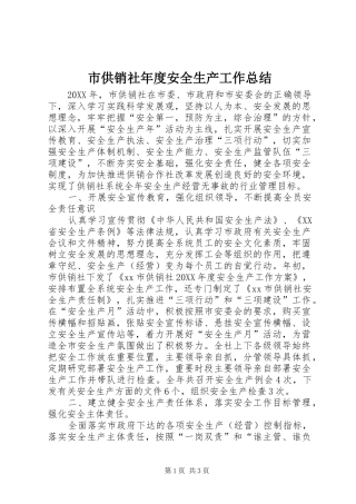 2024年市供销社年度安全生产工作总结