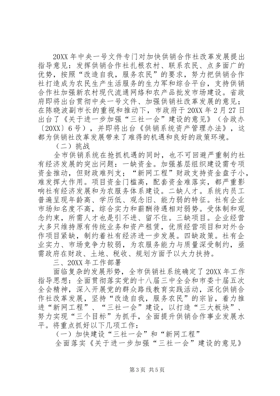 2024年市供销社年度工作报告_第3页