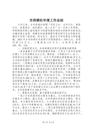 2024年市供销社年度工作总结