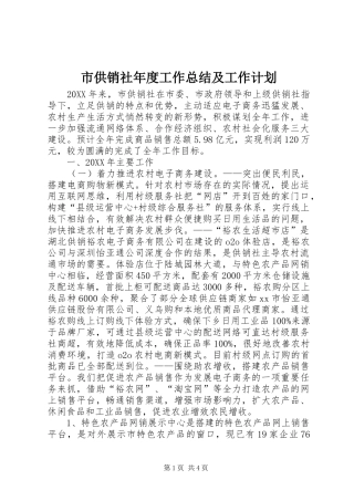2024年市供销社年度工作总结及工作计划