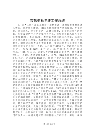 2024年市供销社年终工作总结