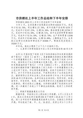 2024年市供销社上半年工作总结和下半年安排