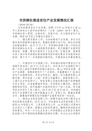 2024年市供销社推进首位产业发展情况汇报