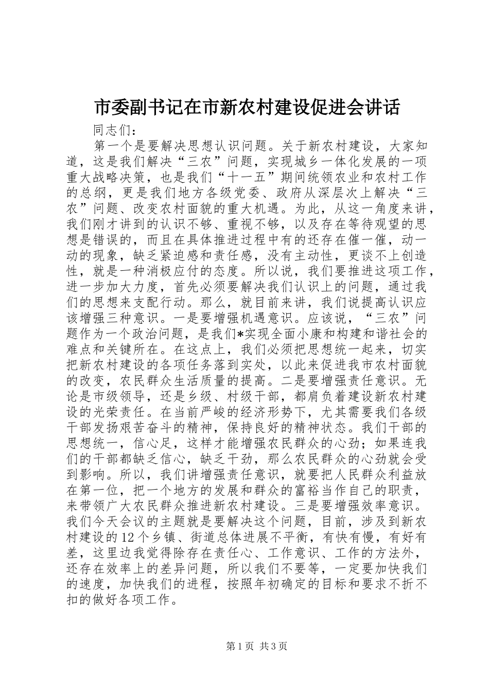 2024年市委副书记在市新农村建设促进会致辞_第1页