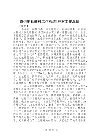 2024年市供销社驻村工作总结驻村工作总结