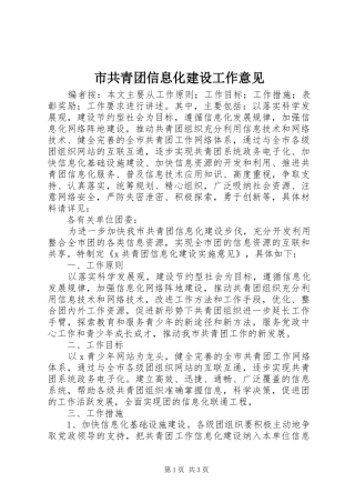 2024年市共青团信息化建设工作意见